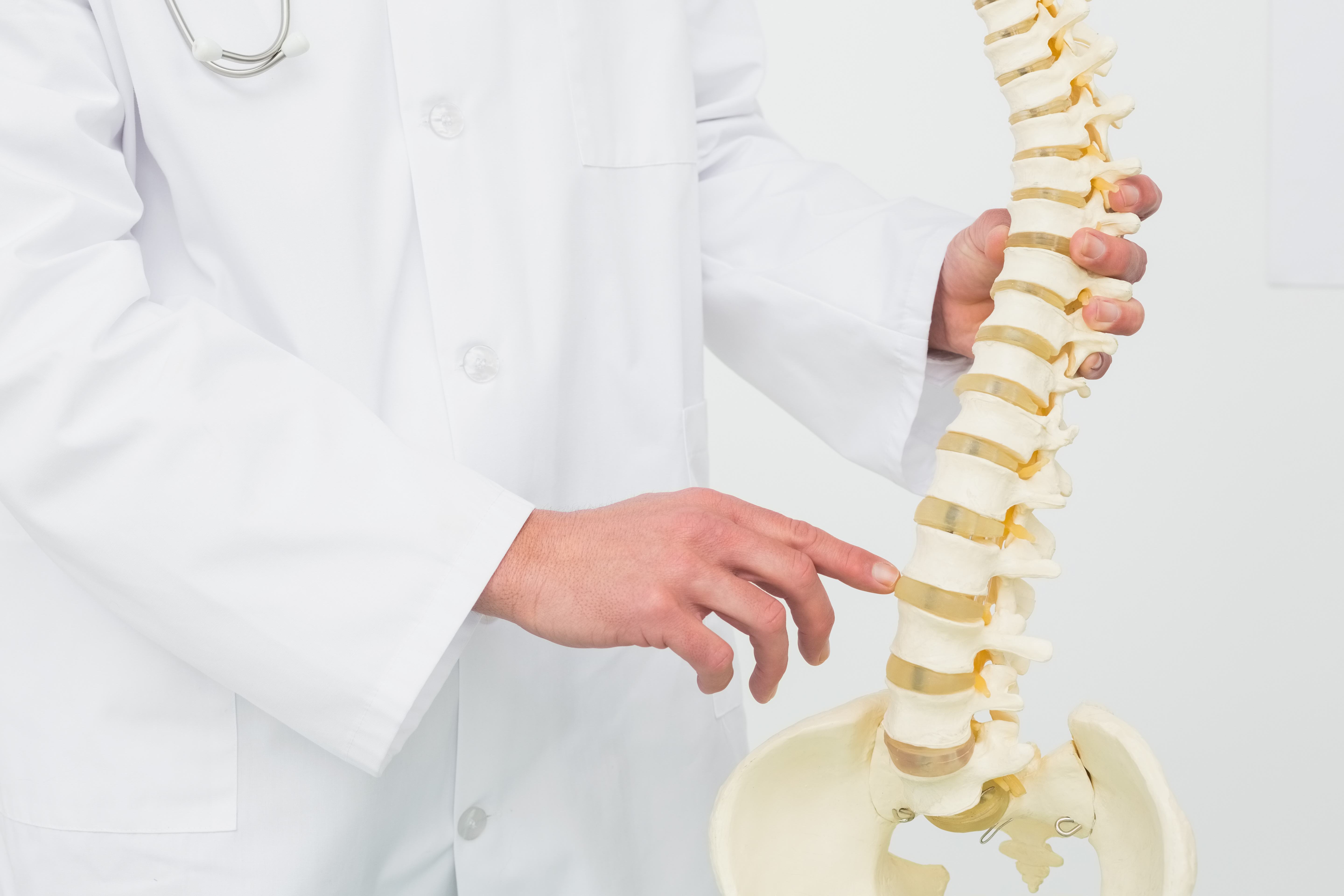 Chiropractor in Commack, NY