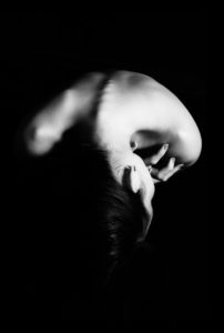 chiropractor in East Northport